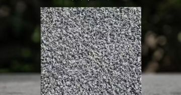 金华 芝麻黑荔枝面