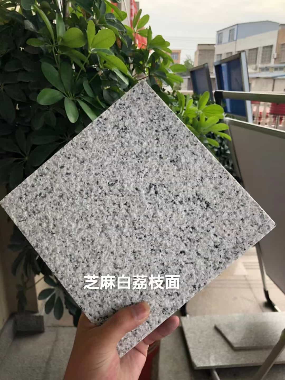 金华 芝麻白荔枝面干挂