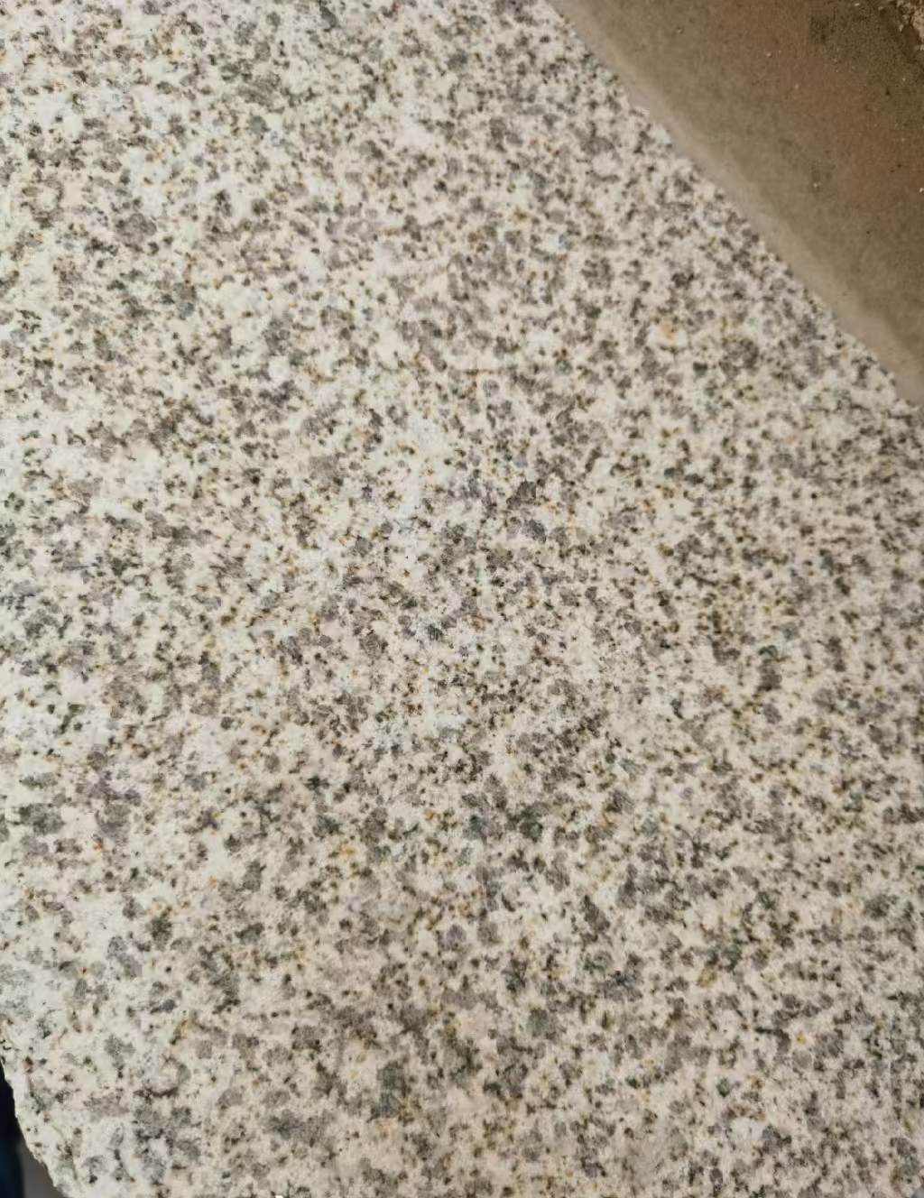 金华 黄金麻中黄光面